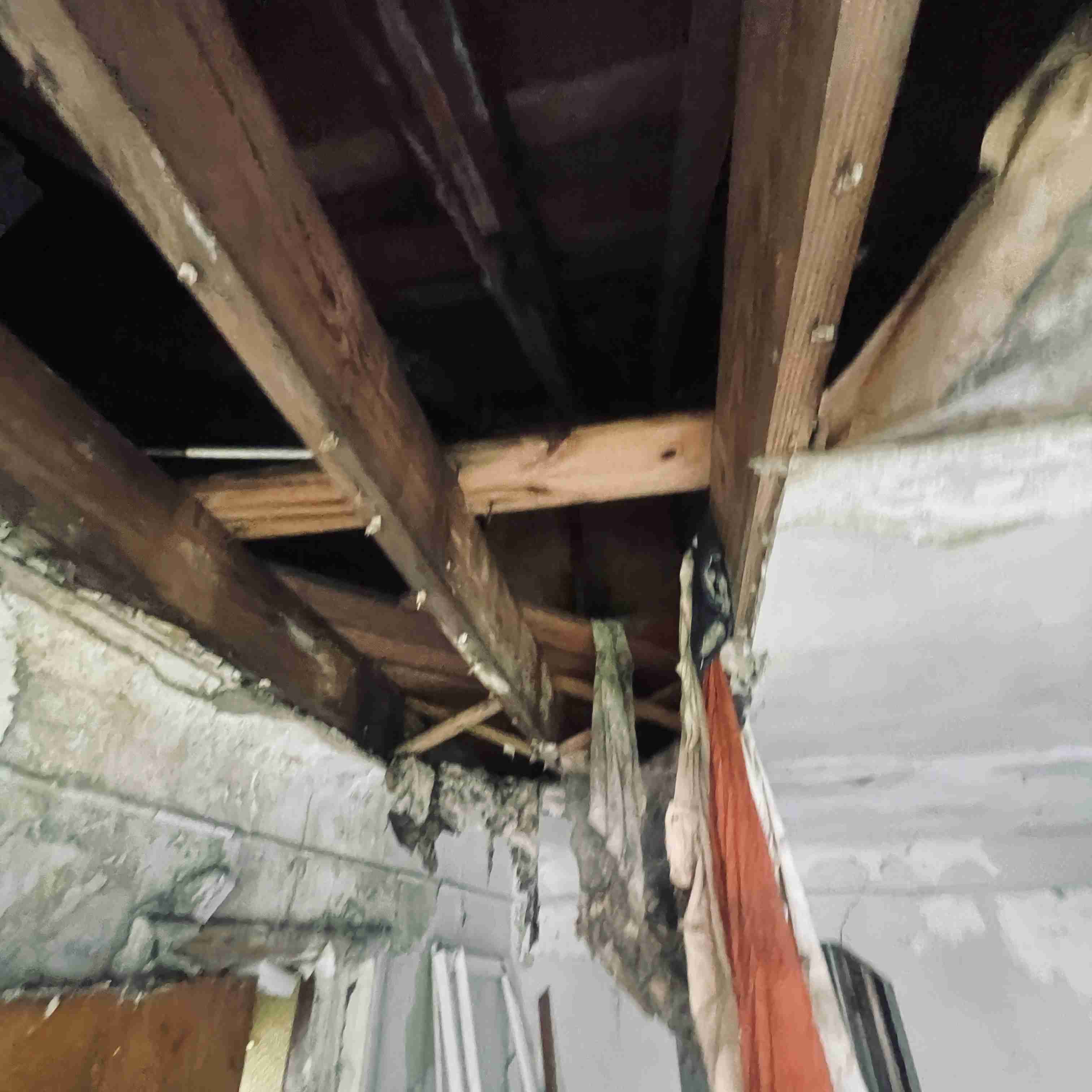 4277 TUXEDO (23).jpg